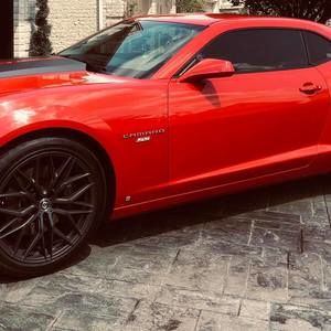 Meet your Posher, Renee